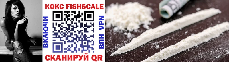 COCAIN Fish Scale  Купить где  Долинск 