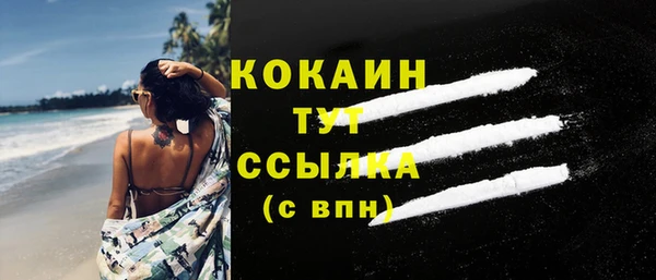 стафф Каменка