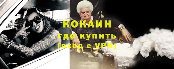 стафф Каменногорск