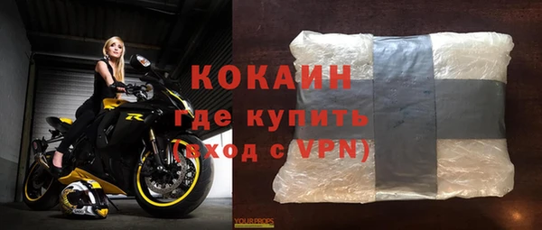 стафф Каменка