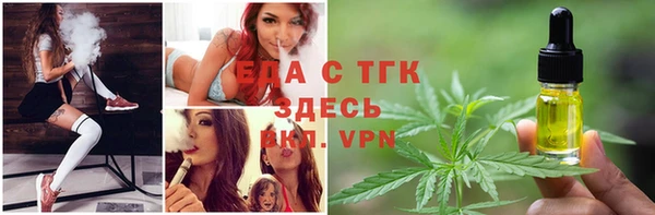 стафф Каменка