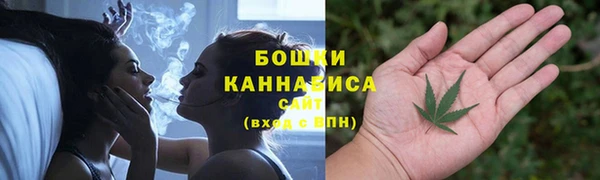 стафф Каменка