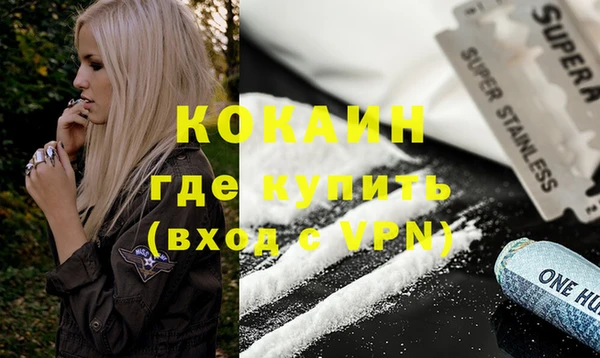 стафф Каменка