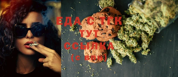 стафф Каменка