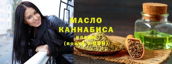 стафф Каменка