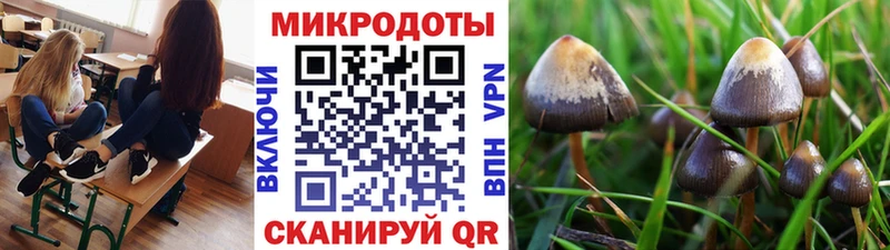 Купить закладки  Долинск  Галлюциногенные грибы ЛСД 